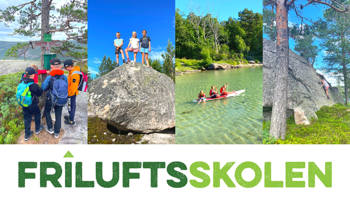 Friluftsskolen banner.png